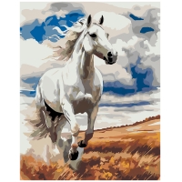 Valkoinen hevonen pellolla