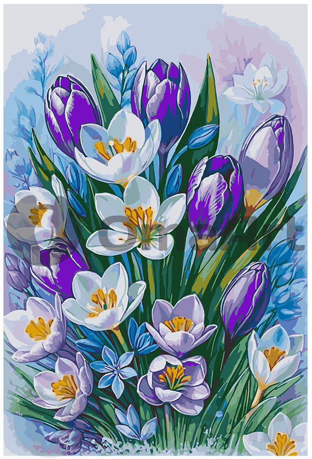 Purple Grace: Tulips