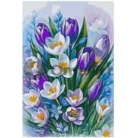 Purple Grace: Tulips