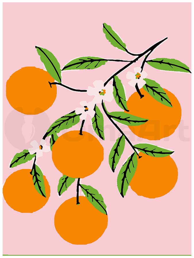 Branch with Oranges: Vibrant Paint by Numbers