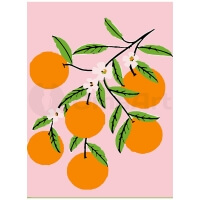 Branch with Oranges: Vibrant Paint by Numbers