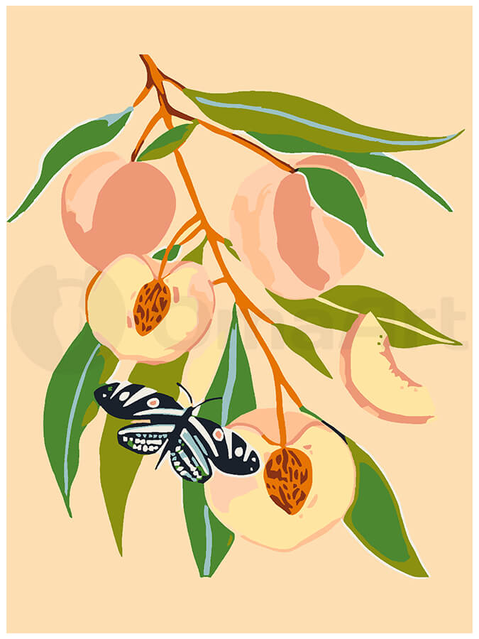 Butterfly on Peach Branch: Paint by Numbers