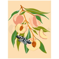 Butterfly on Peach Branch: Paint by Numbers