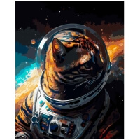 Cat in a spacesuit